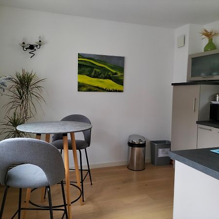 Appartement Salamandre 奥尔良 外观 照片
