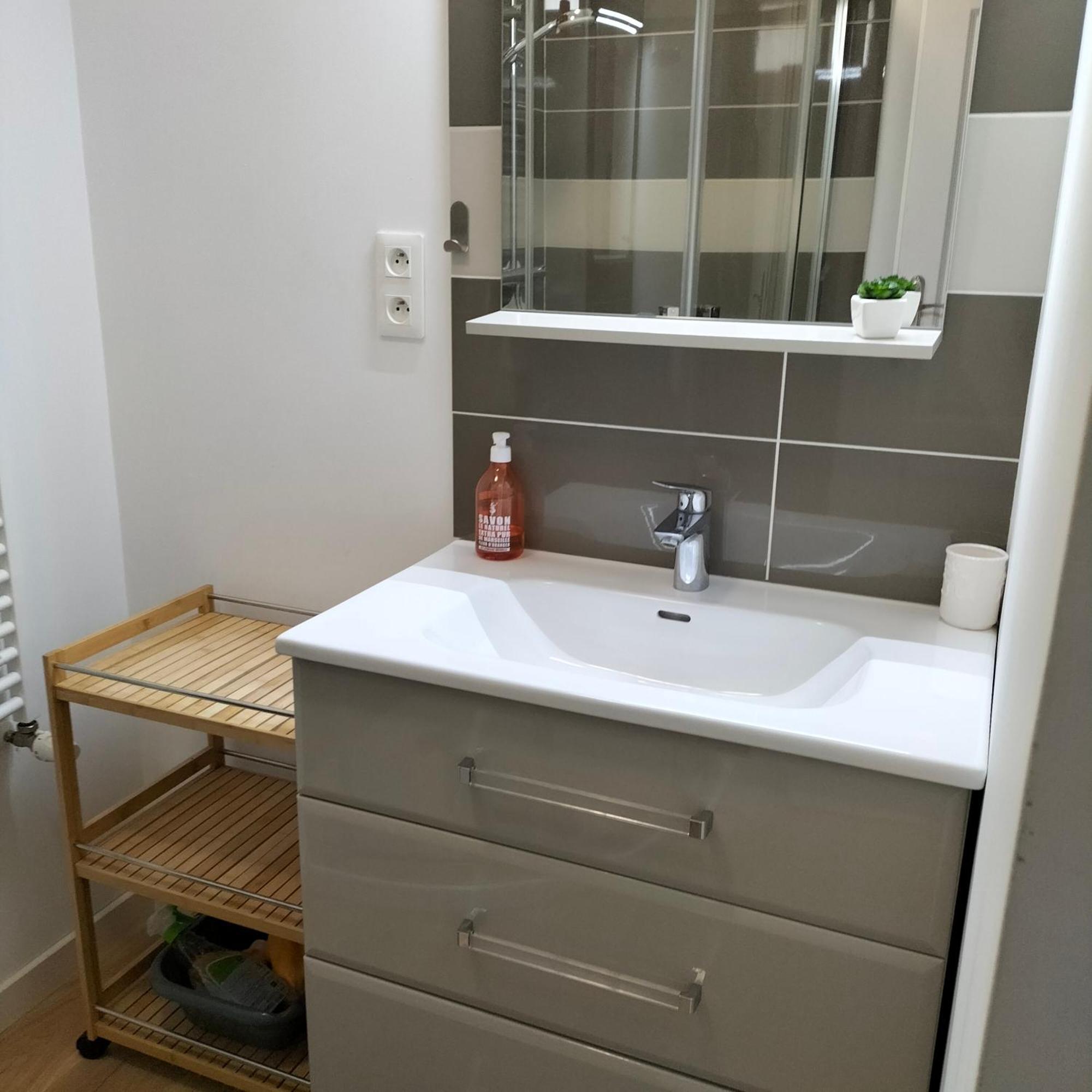 Appartement Salamandre 奥尔良 外观 照片