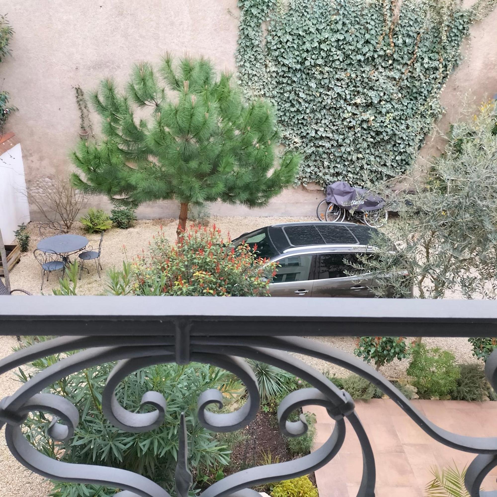 Appartement Salamandre 奥尔良 外观 照片