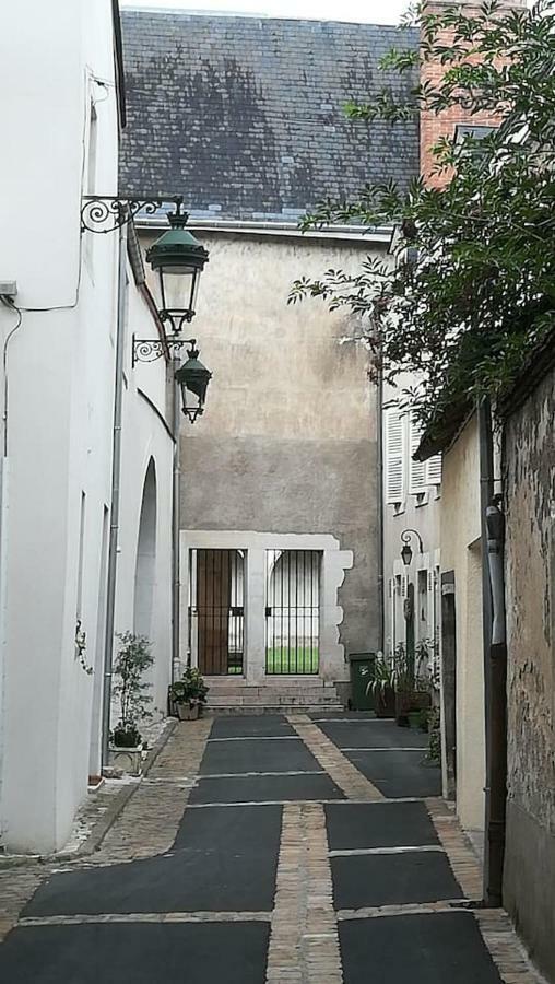 Appartement Salamandre 奥尔良 外观 照片